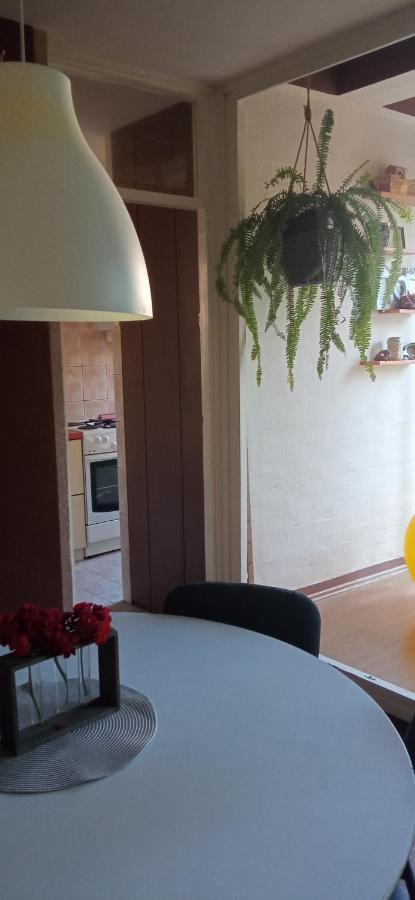 Branysol Apartman Novi Sad Exteriör bild