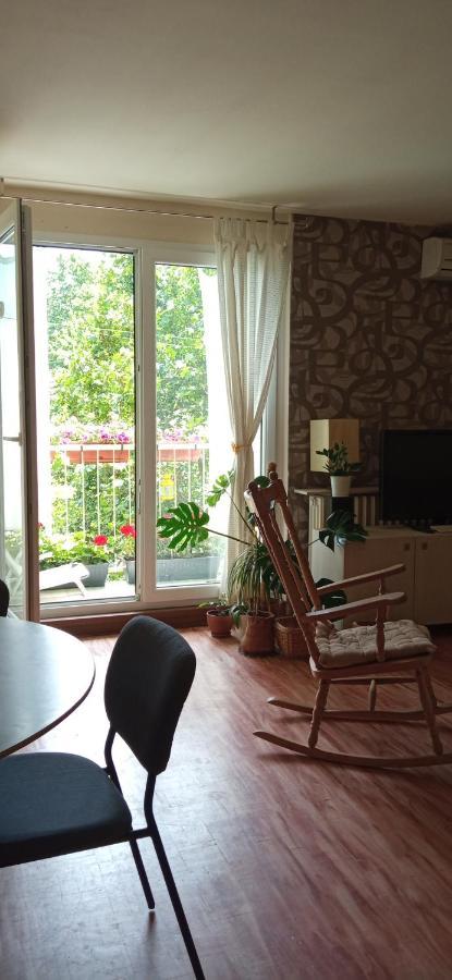 Branysol Apartman Novi Sad Exteriör bild